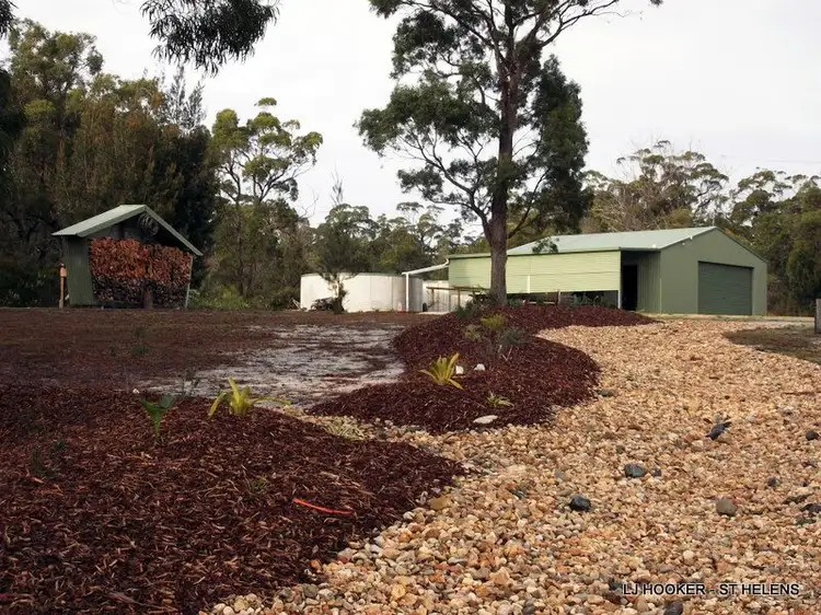 Seventh view of Homely house listing, 813 Reids Road, Binalong Bay TAS 7216