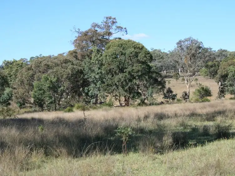Third view of Homely rural property listing, Lot 240 Mt Janet  Road, Dalveen QLD 4374
