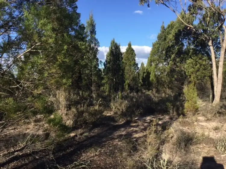 Fifth view of Homely land listing, 1162 Major West Road, Bumbaldry NSW 2794