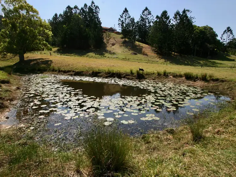 Fifth view of Homely land listing, 15 Pinetree Place, Piggabeen NSW 2486