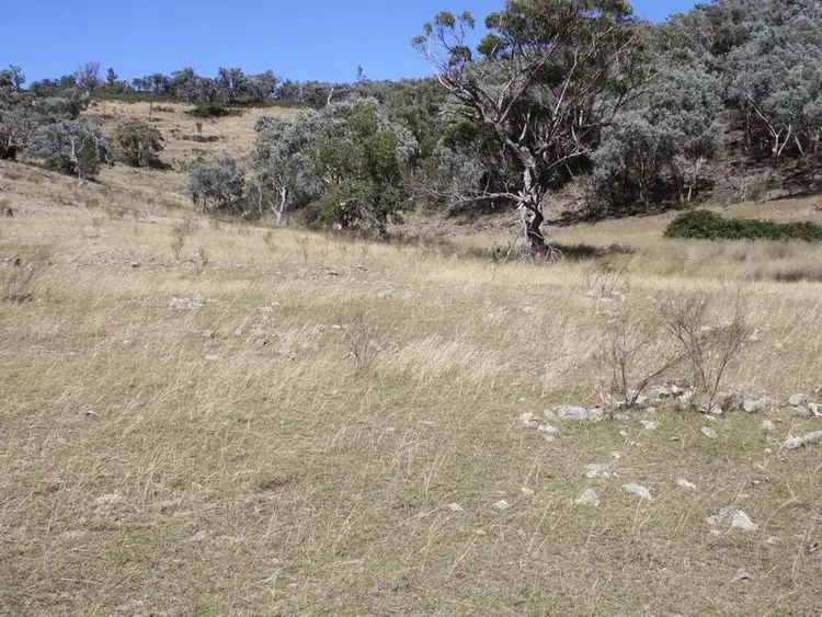 Sixth view of Homely rural property listing, 19/702965 Gulf Road, Emmaville NSW 2371