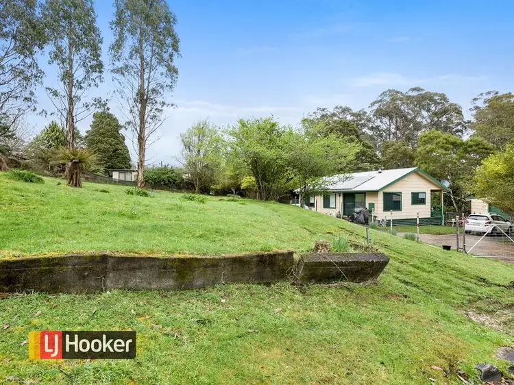 2 Sassafras Court