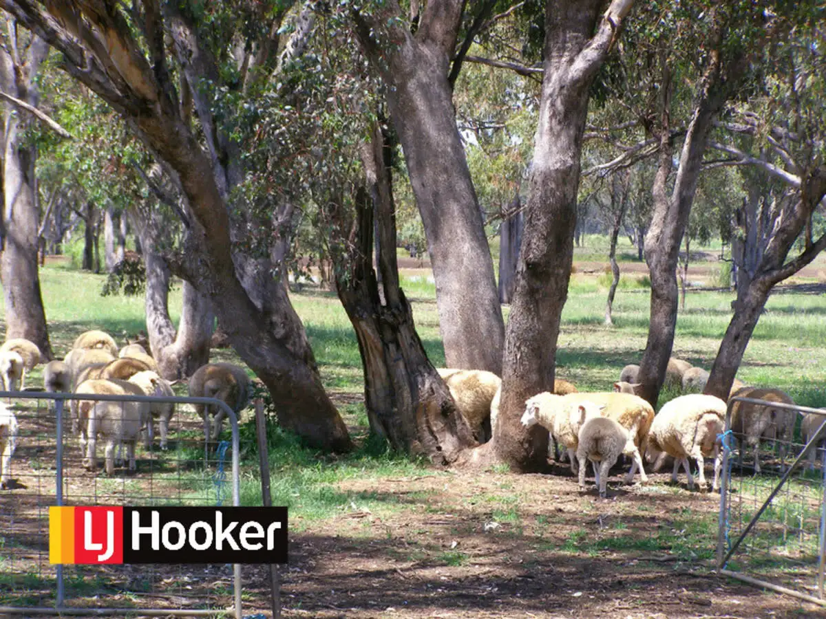 Main view of Homely rural property listing, 423 Rob Roy Road, Inverell NSW 2360