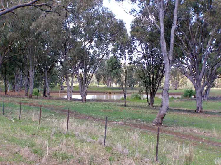 Second view of Homely rural property listing, 423 Rob Roy Road, Inverell NSW 2360