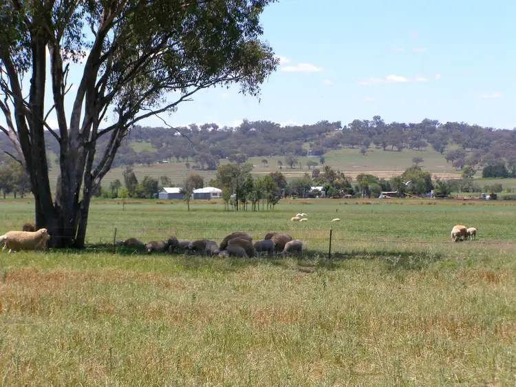 Third view of Homely rural property listing, 423 Rob Roy Road, Inverell NSW 2360