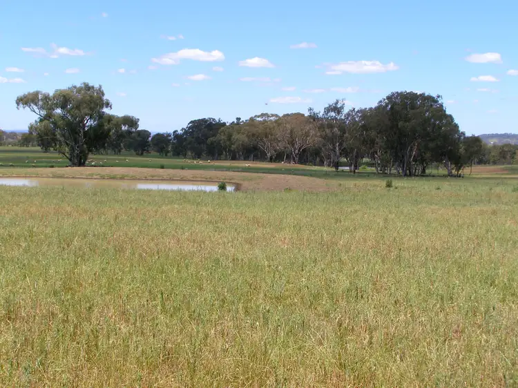 Fourth view of Homely rural property listing, 423 Rob Roy Road, Inverell NSW 2360