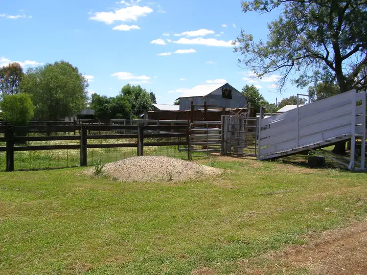 Fifth view of Homely rural property listing, 423 Rob Roy Road, Inverell NSW 2360