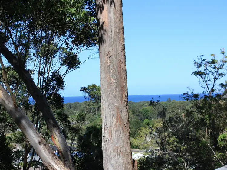 Third view of Homely house listing, 14 Banool Circuit, Ocean Shores NSW 2483