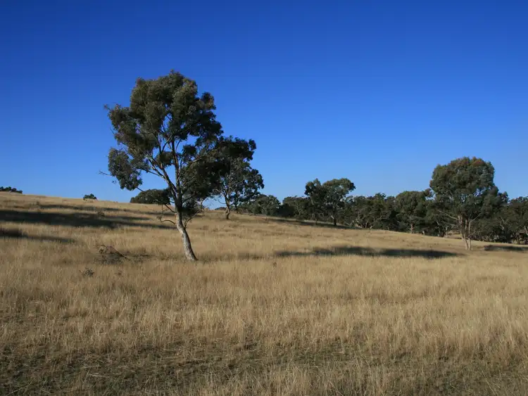 Fifth view of Homely rural property listing, Lot 237 Loloma Road, Warwick QLD 4370