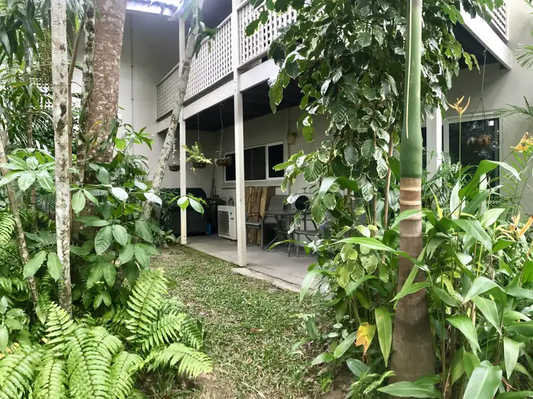 Main view of Homely apartment listing, 97 Reef Resort/121 Port Douglas Road, Port Douglas QLD 4877