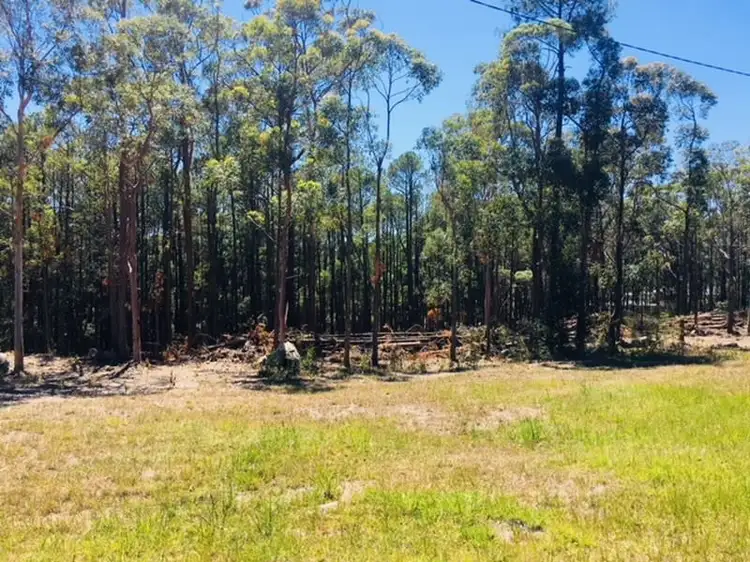 Main view of Homely land listing, 189 Clarke Street, Pindimar NSW 2324