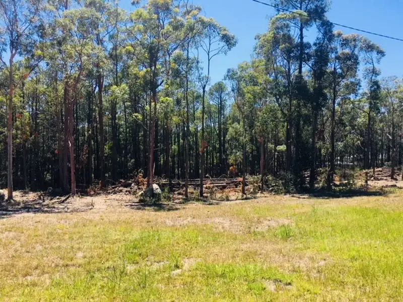 Main view of Homely land listing, 189 Clarke Street, Pindimar NSW 2324