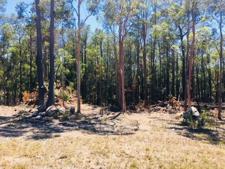 Third view of Homely land listing, 189 Clarke Street, Pindimar NSW 2324