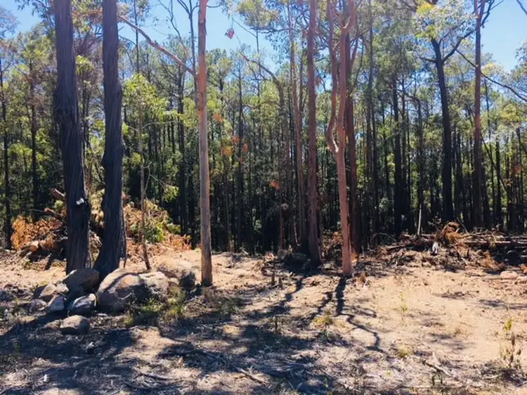 Fifth view of Homely land listing, 189 Clarke Street, Pindimar NSW 2324