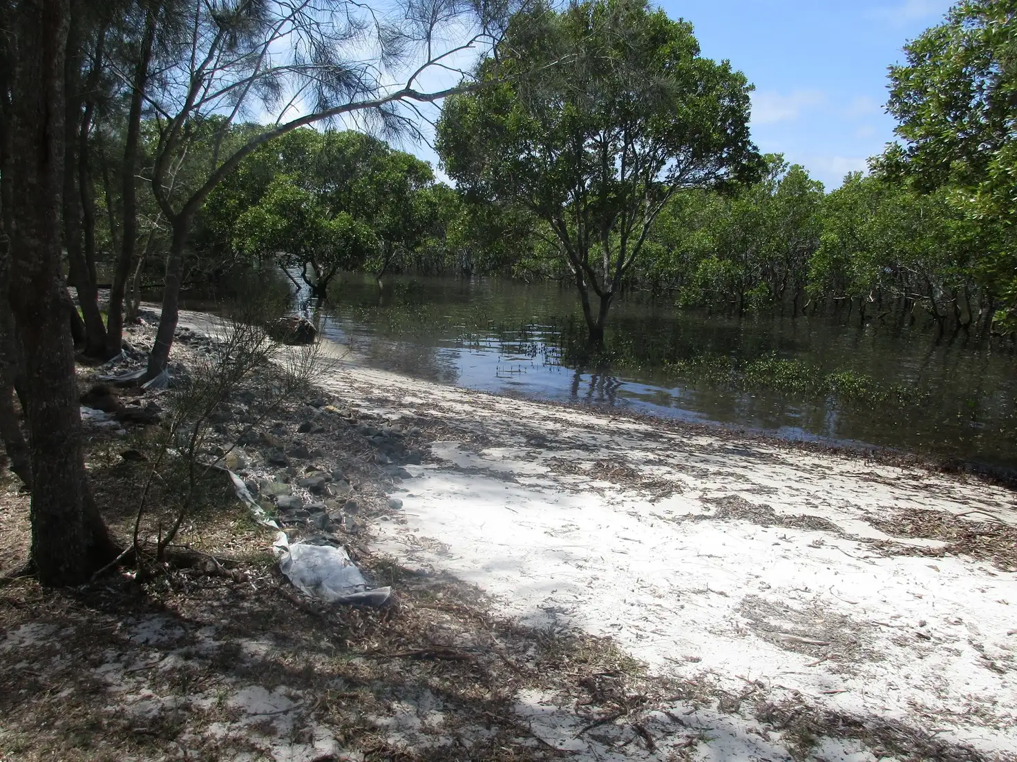 Main view of Homely land listing, Lot 2 Myall Street, Pindimar NSW 2324