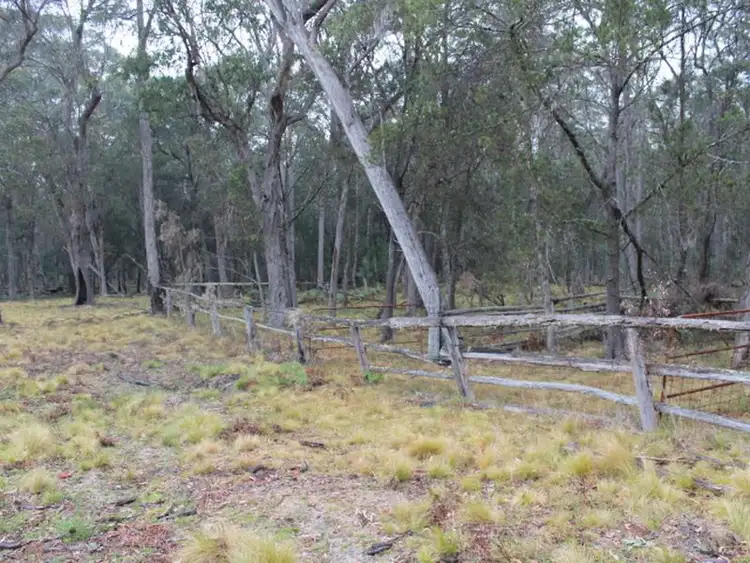 Fifth view of Homely rural property listing, Lot 2 Morven Road, Glen Innes NSW 2370