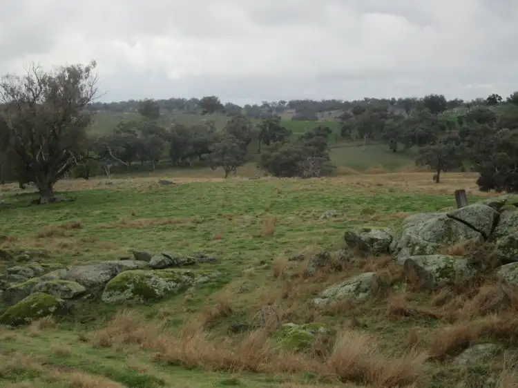 Third view of Homely rural property listing, 625 Tubbul Road, Young NSW 2594