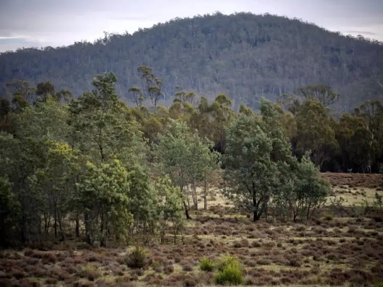 Seventh view of Homely rural property listing, Powranna Road, Cressy TAS 7302
