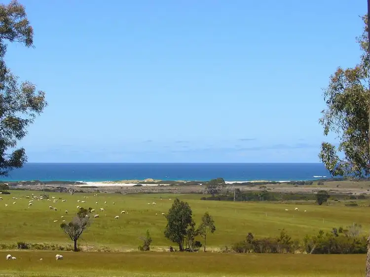 Main view of Homely rural property listing, 19595 Tasman Highway, Seymour TAS 7215