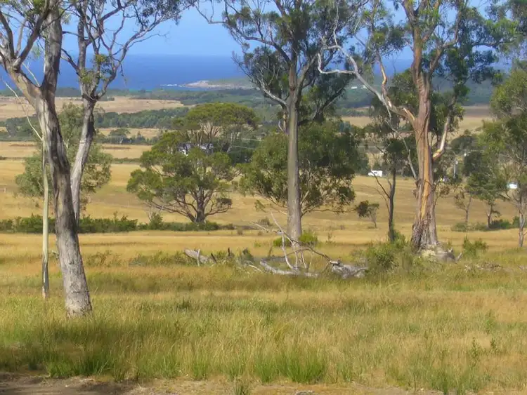 Third view of Homely rural property listing, 19595 Tasman Highway, Seymour TAS 7215