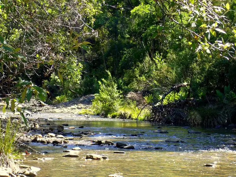 Sixth view of Homely rural property listing, 19595 Tasman Highway, Seymour TAS 7215