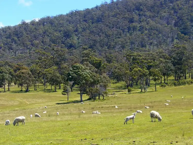 Seventh view of Homely rural property listing, 19595 Tasman Highway, Seymour TAS 7215