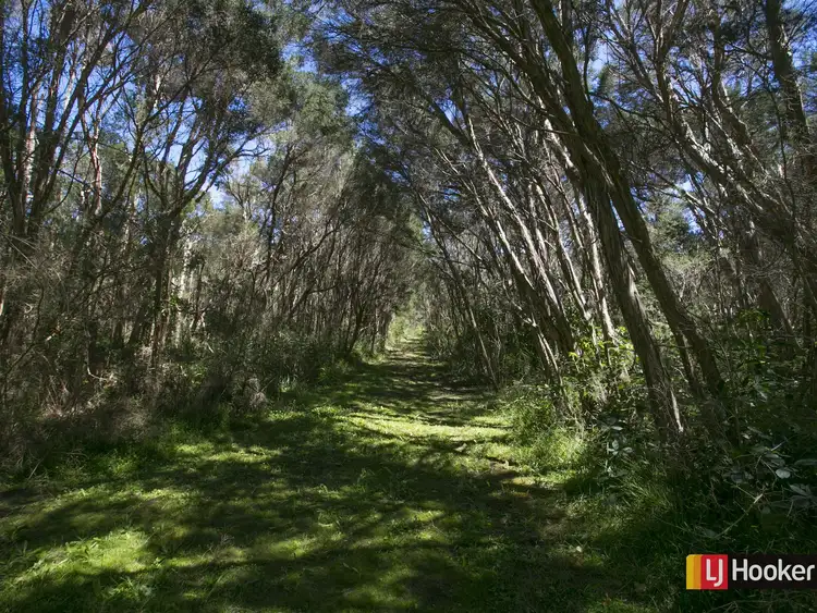 Third view of Homely house listing, 1250 Bass Highway, Grantville VIC 3984