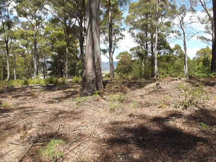 Second view of Homely land listing, 1B Cameron Street, St Marys TAS 7215