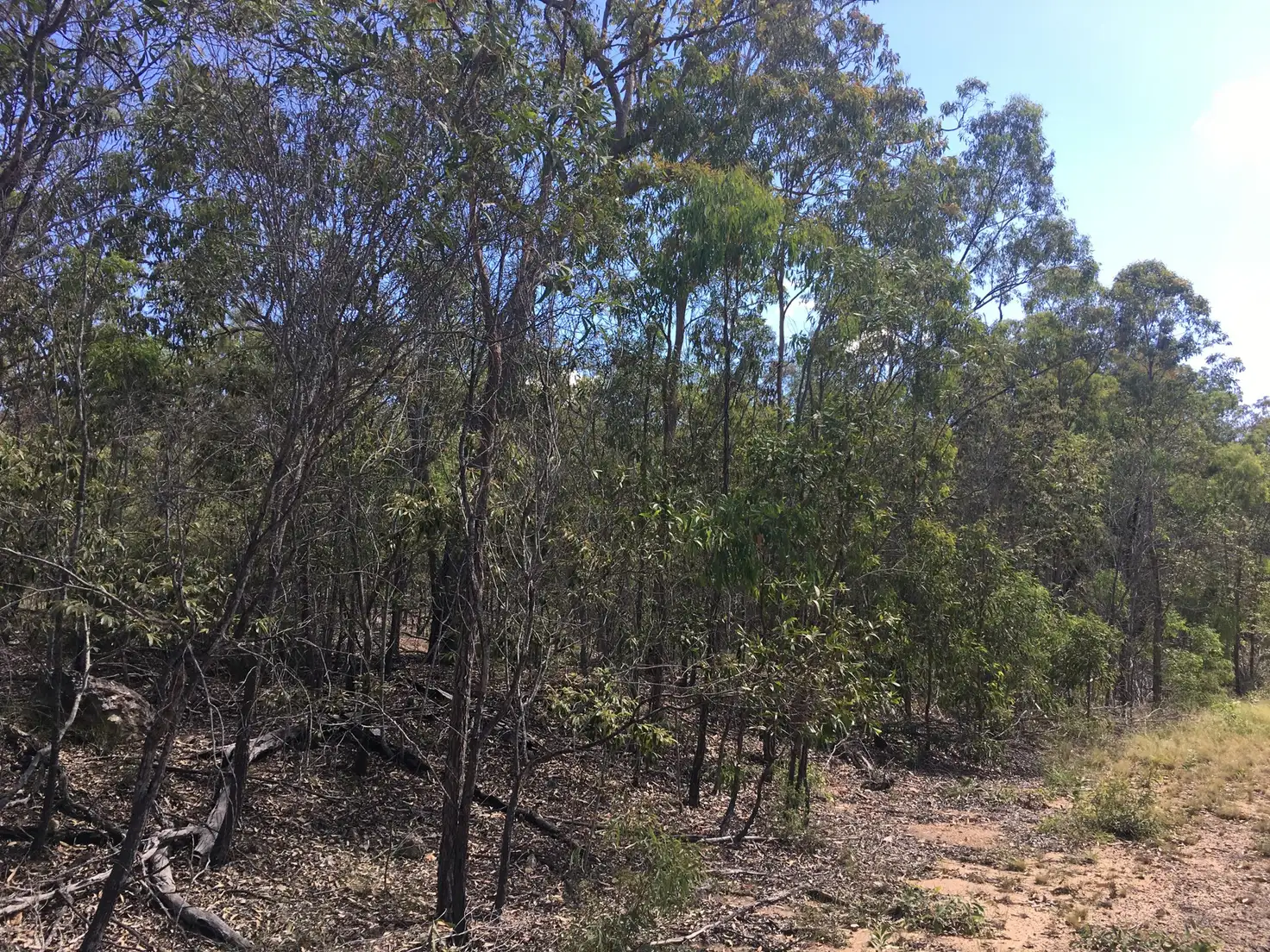 Main view of Homely land listing, 491 Dangore Mountain Road, Dangore QLD 4610