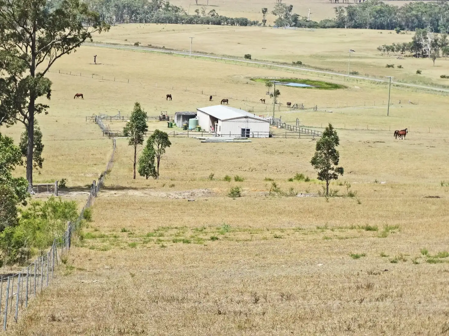 Main view of Homely house listing, 486 Warraba Road, The Branch NSW 2425