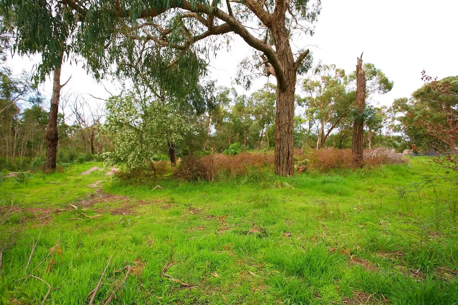 Main view of Homely land listing, 22 Currawong Grove, Cannons Creek VIC 3977