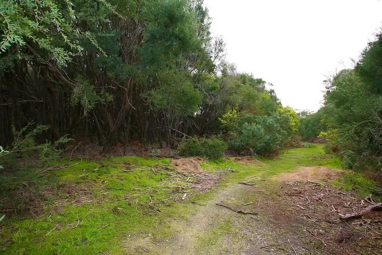 Third view of Homely land listing, 22 Currawong Grove, Cannons Creek VIC 3977
