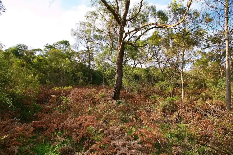 Fourth view of Homely land listing, 22 Currawong Grove, Cannons Creek VIC 3977