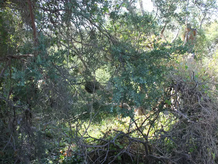 Fourth view of Homely land listing, 121 Lohr Avenue, Inverloch VIC 3996