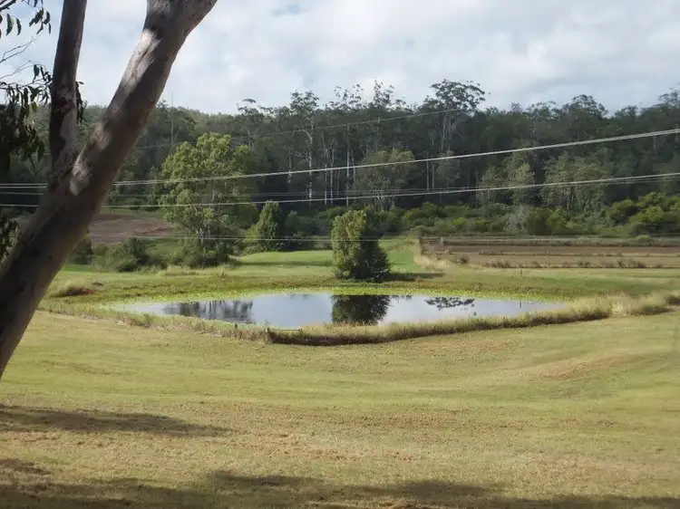 Fourth view of Homely rural property listing, 3610 Orara Way, Kremnos NSW 2460