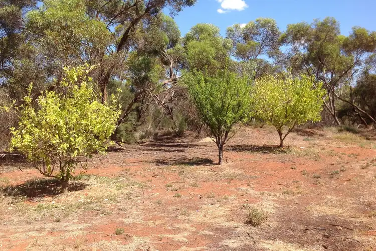 Second view of Homely house listing, 41 West Road, Glossop SA 5344