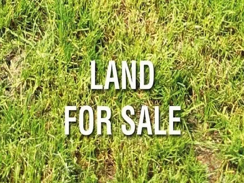 Main view of Homely land listing, 60 Trust Terrace, Peterhead SA 5016