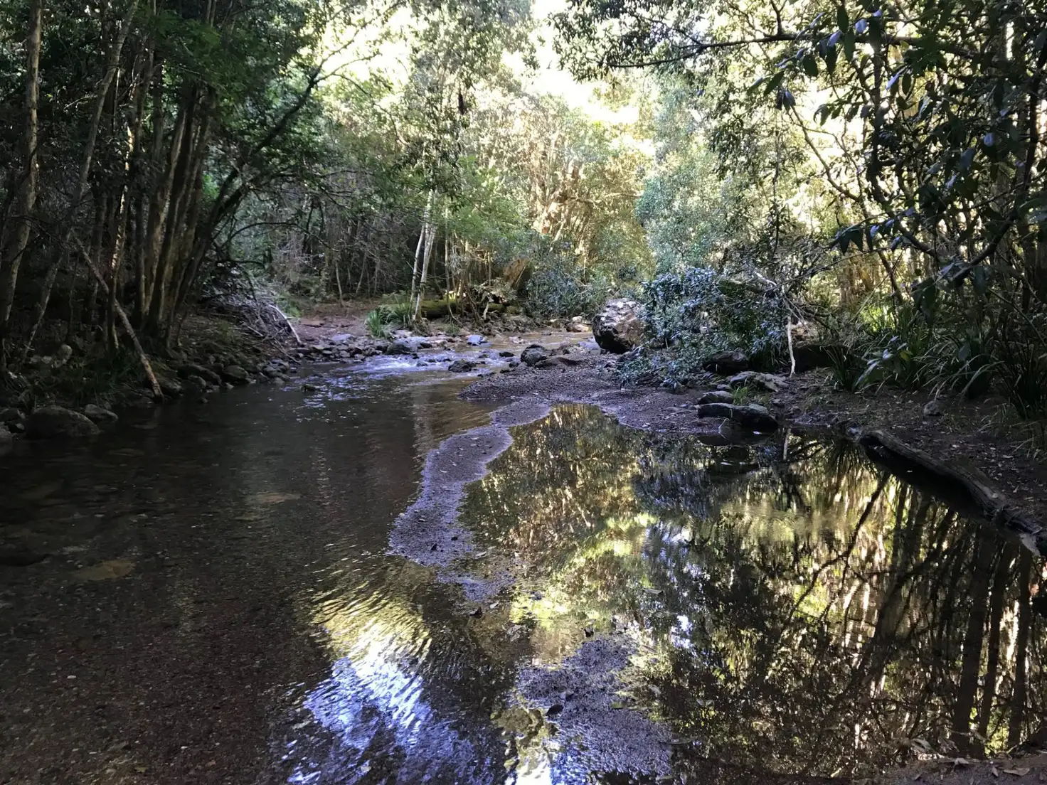Main view of Homely rural property listing, Address available on request