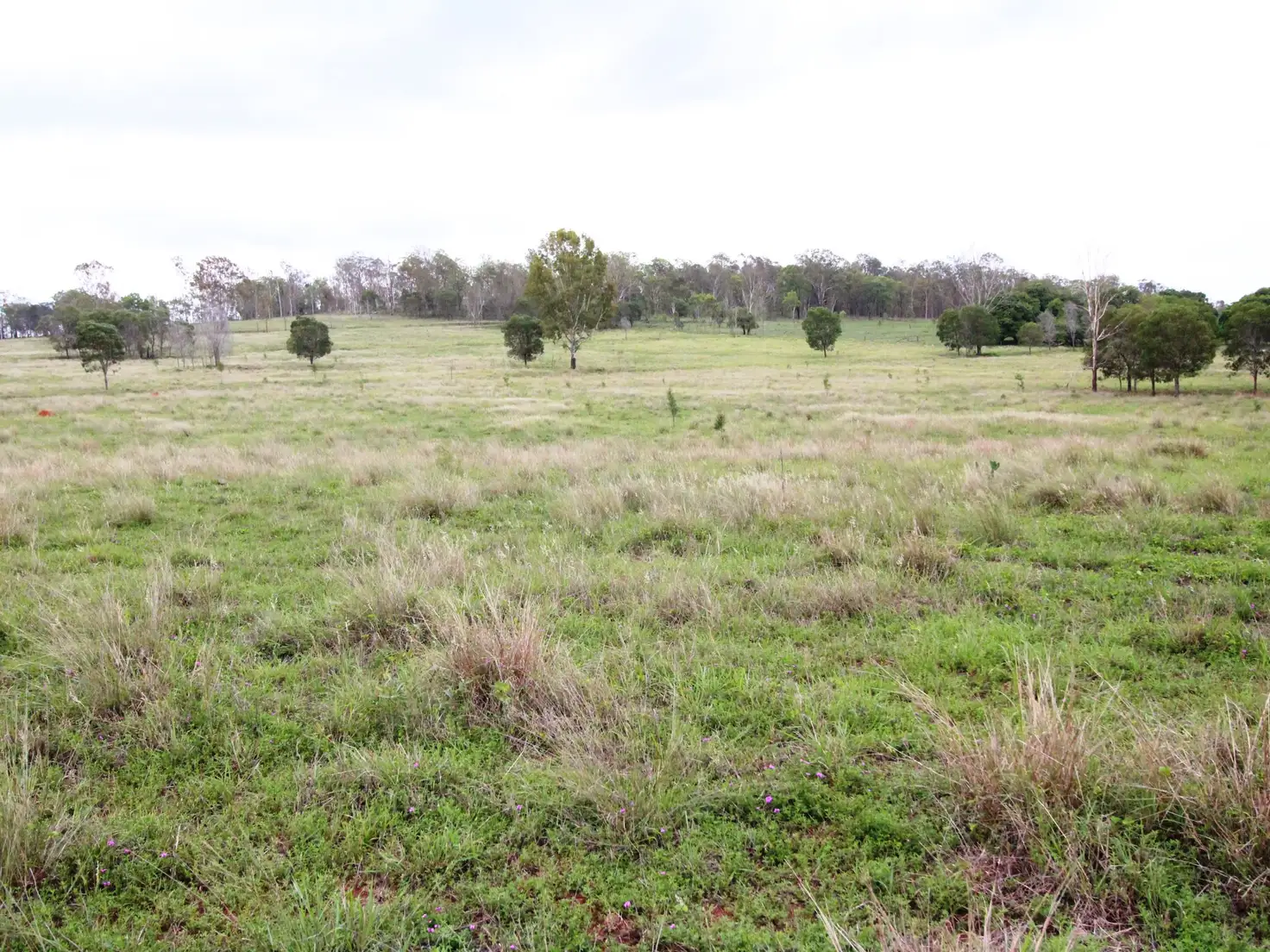 Main view of Homely rural property listing, Lot 1 Langtons Lane, Esk QLD 4312