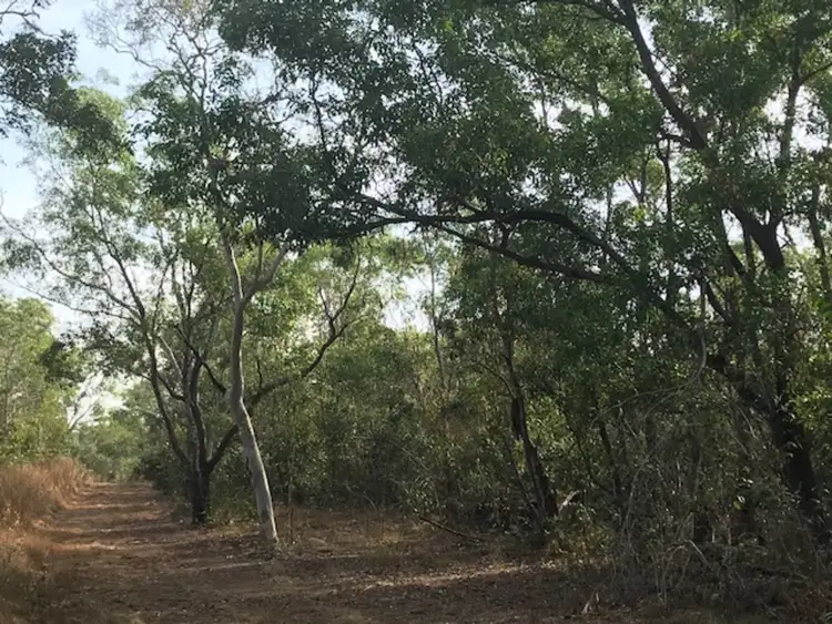 Third view of Homely rural property listing, 104 Myrmidon Circuit, Dundee Beach NT 840