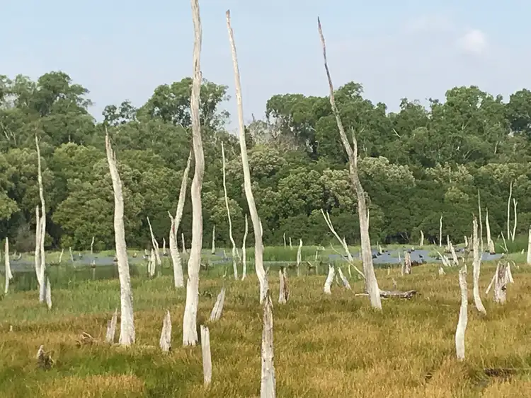 Fifth view of Homely rural property listing, 104 Myrmidon Circuit, Dundee Beach NT 840