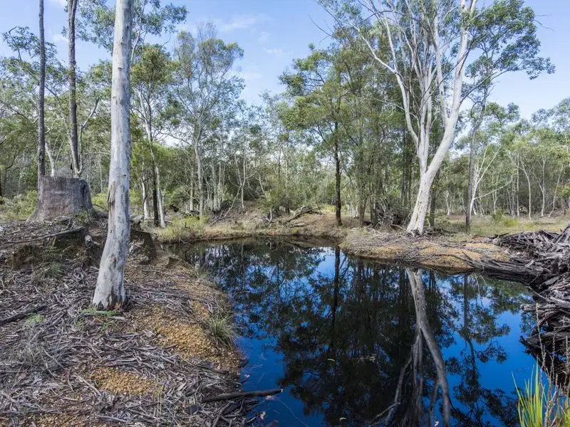 Main view of Homely land listing, 288 Black Swan Drive, Coutts Crossing NSW 2460