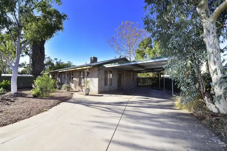 Main view of Homely house listing, 14 Mistletoe Street, Sadadeen NT 870