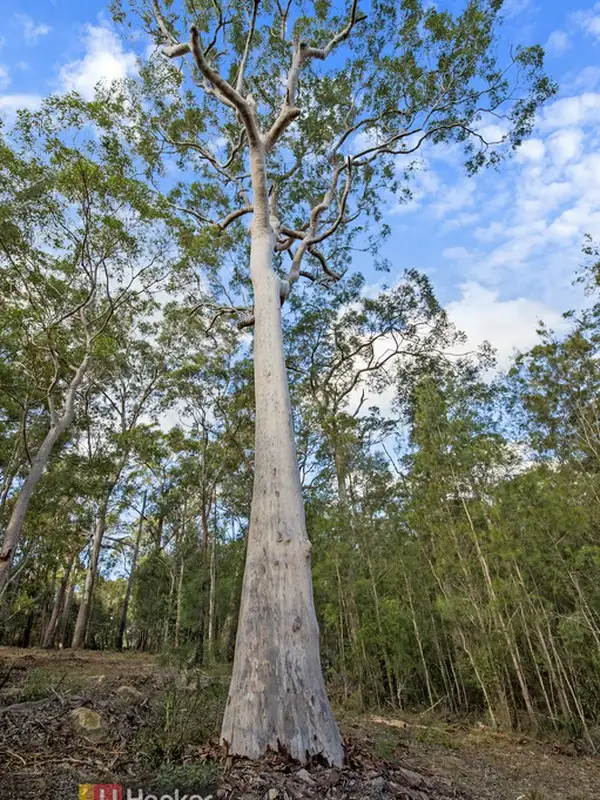 Third view of Homely land listing, 16 Garemyn Road, Middle Dural NSW 2158