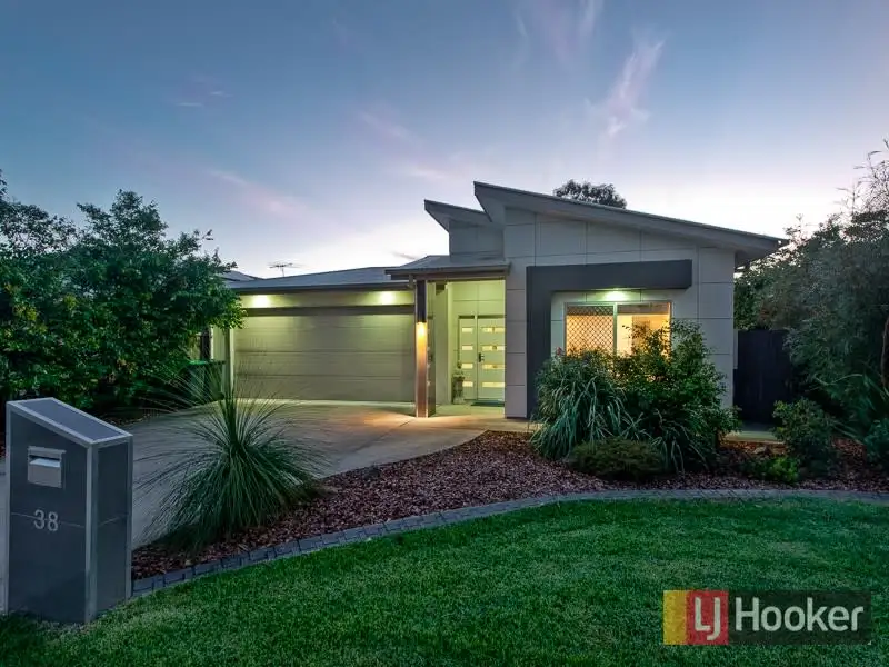 Main view of Homely house listing, 38 Matthew Street, Carseldine QLD 4034