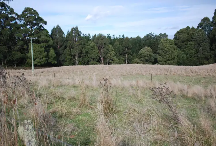 Sixth view of Homely rural property listing, 1538 Preolenna Road, Moorleah TAS 7325