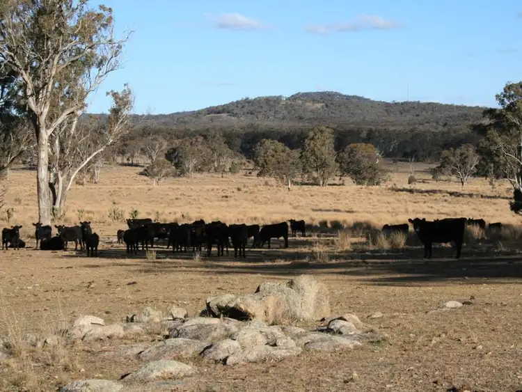 Main view of Homely rural property listing, Lot 5 Rabbit Fence Road, Dalveen QLD 4374