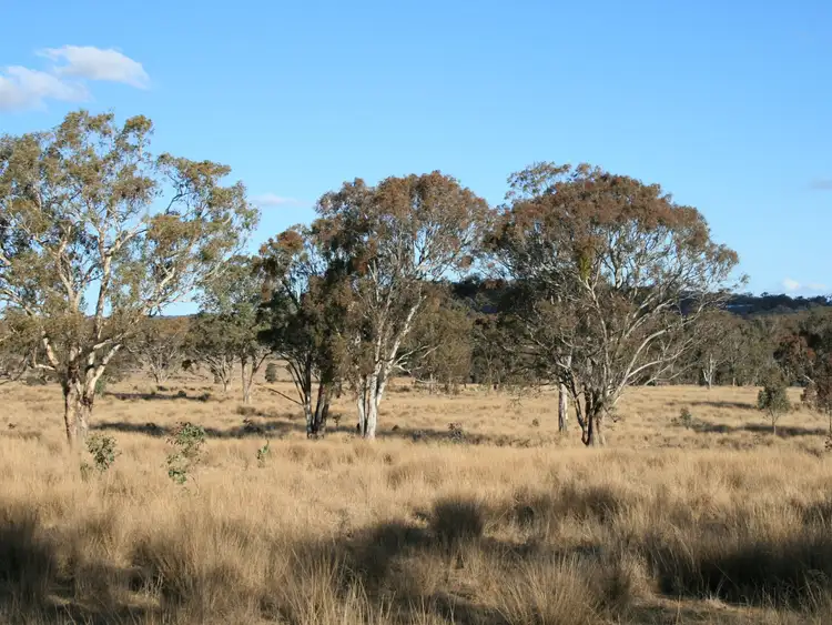 Third view of Homely rural property listing, Lot 5 Rabbit Fence Road, Dalveen QLD 4374
