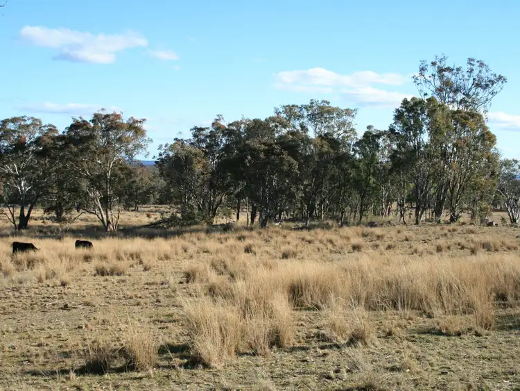 Fourth view of Homely rural property listing, Lot 5 Rabbit Fence Road, Dalveen QLD 4374