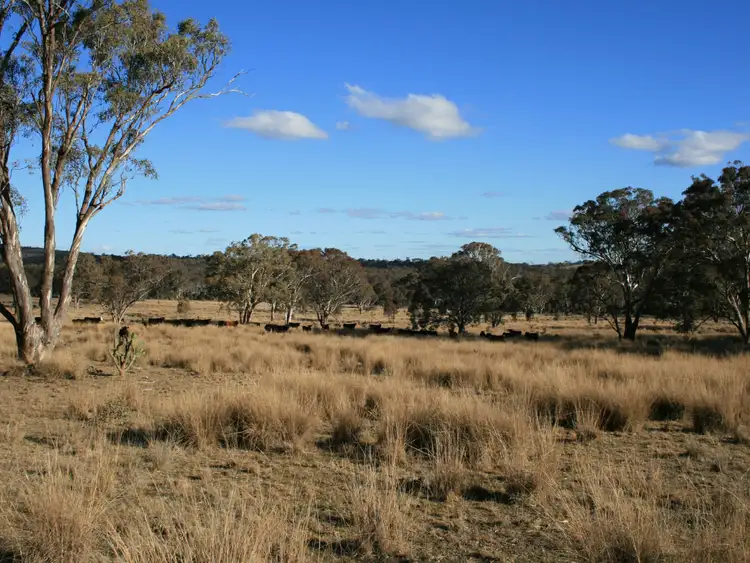 Fifth view of Homely rural property listing, Lot 5 Rabbit Fence Road, Dalveen QLD 4374